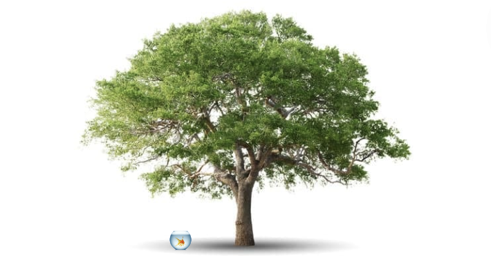 Empowering Strength Based ADHD Strategies